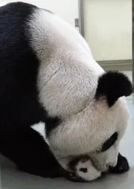 随笔最新章