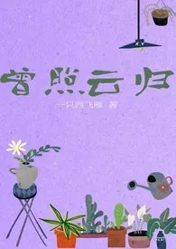 曾照云归最新章