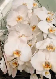 不讲道理的春梦幻想世界最新章