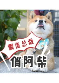 霸道总裁俏阿柴(BL、SM、电竞)最新章