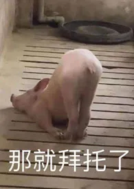 18紧致世界最新章