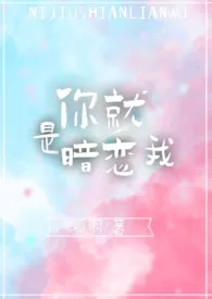 你就是暗恋我(1V1)最新章