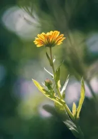 校长的“性”教育最新章