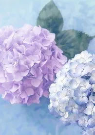 少爷【简】最新章