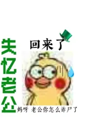 失忆老公回来了(NP)