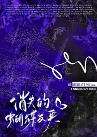 消失的蝴蝶发夹