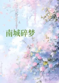 南城碎梦