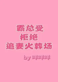 霸总受拒绝追妻火葬场［纯百］