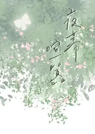 夜幕喧嚣