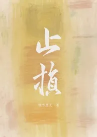 止损（骨科，1v1 H）
