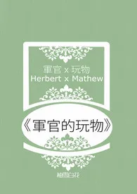 军官的玩物(虐心&肉肉)